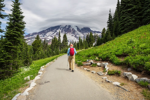 Mount Rainier national park, Washington