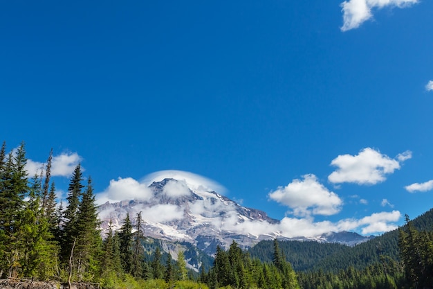 Mount Rainier national park, Washington