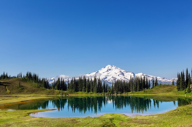 Mount Rainier national park, Washington