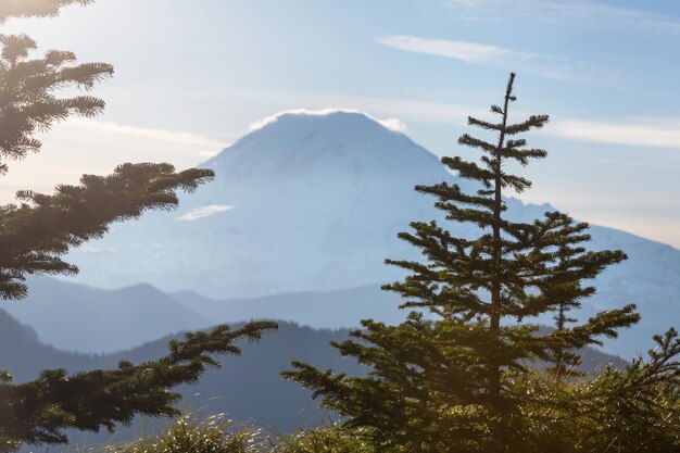 Mount Rainier national park Washington