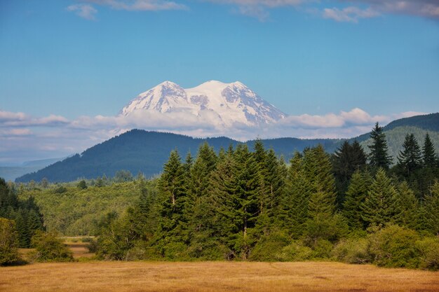 Mount Rainier national park, Washington