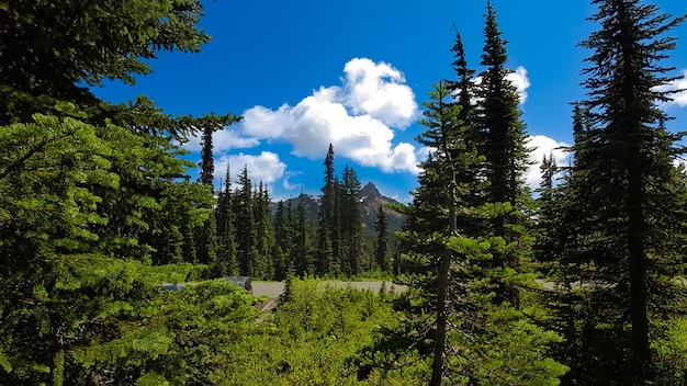 Photo mount rainier