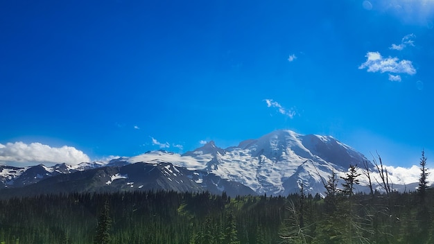 Photo mount rainier