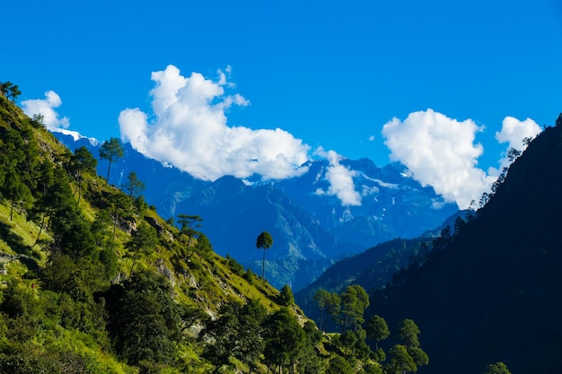 Mount Saipal Base Camp Trekking in de Himalaya van Bajura, Nepal