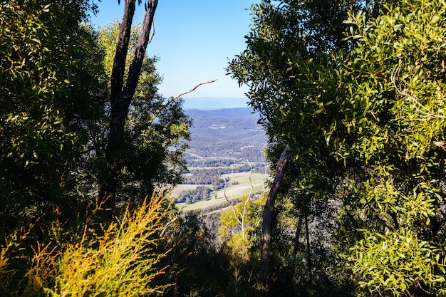 Mount Sugarloaf Ridge Track возле Мэйсон-Фолс в Национальном парке Кинглейк в прохладный осенний день в Мельбурне, Виктория, Австралия