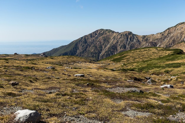 Mount Tate hoogland