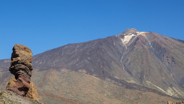 テイデ山と木と呼ばれる岩