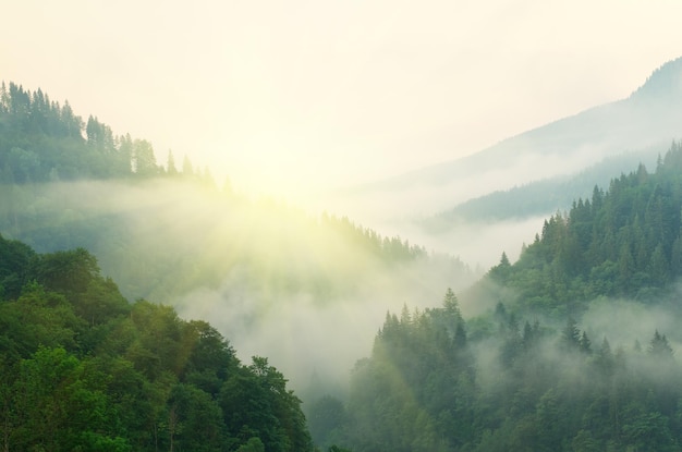 山の空中の朝の風景