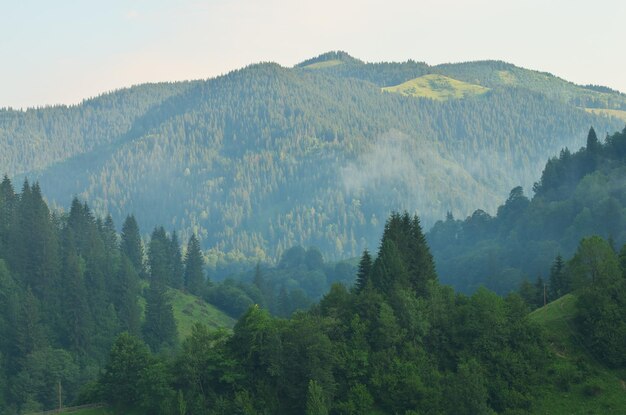 山の空中の朝の風景