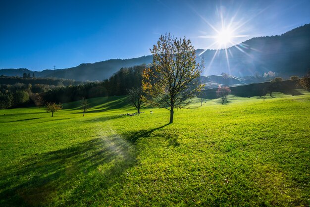 Montagna contro il cielo con campo in erba in sumer