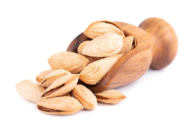 Mountain almonds in wooden scoop isolated on white background Uzbek wild almonds