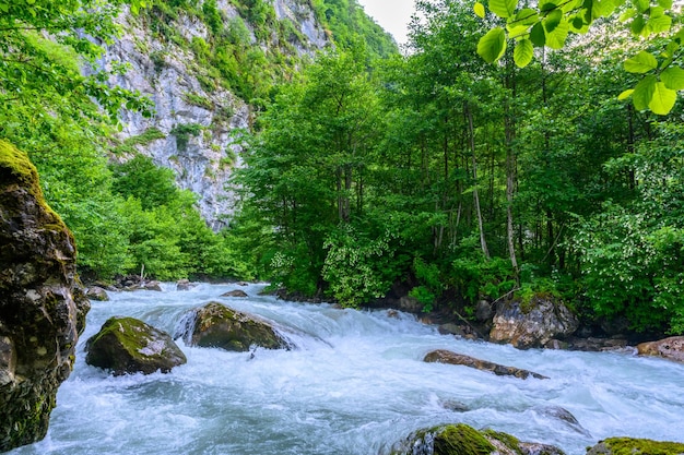 Mountain alpine stormy river in the tropical forest