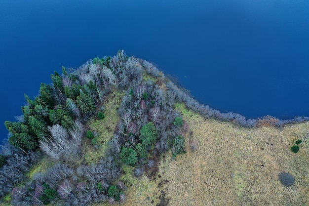 mountain altai river top view drone, landscape altai tourism top view