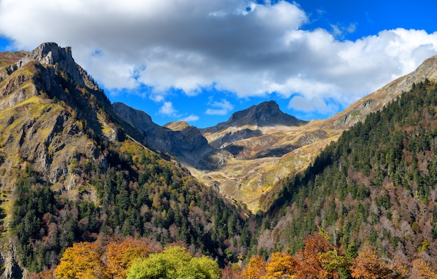 カラフルな森と山の秋の風景