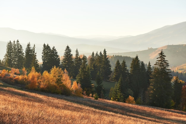 mountain autumn landscape with colorful forest.