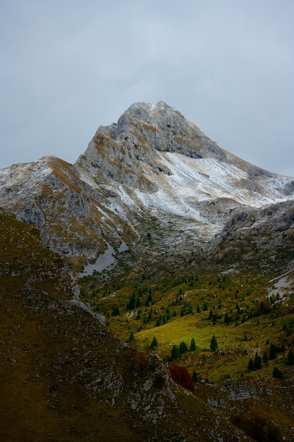 秋の垂直風景の山