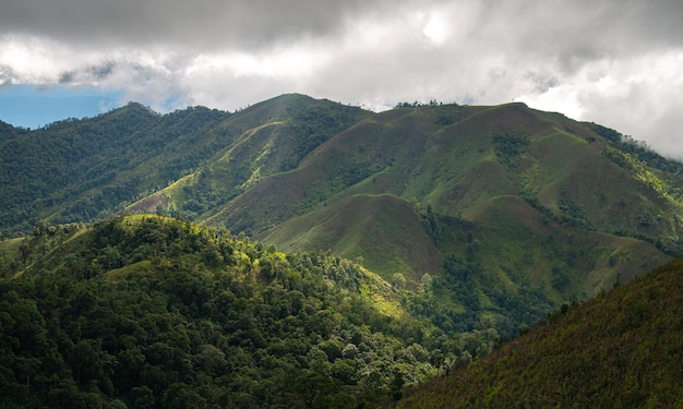 朝の時間の背景に山。タイの自然の風景。