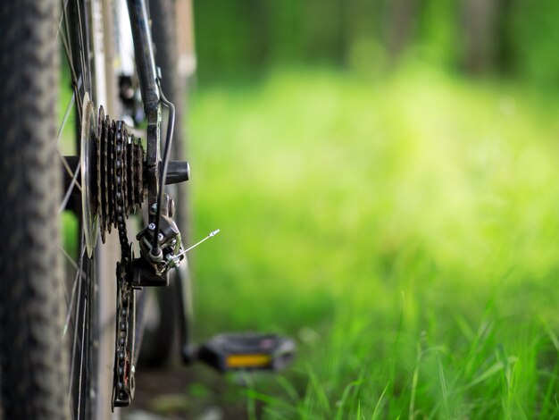 Mountain Bike-close-up op de groene ruimte van het de zomer bosfondsexemplaar