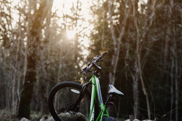 Mountain bike in forest on sunset. sport and  travel concept