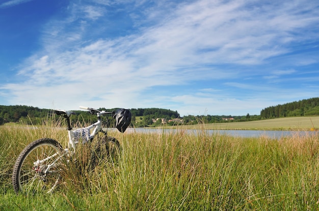 Mountain bike on the grass