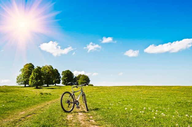 Mountain bike on green lawn in sunny day