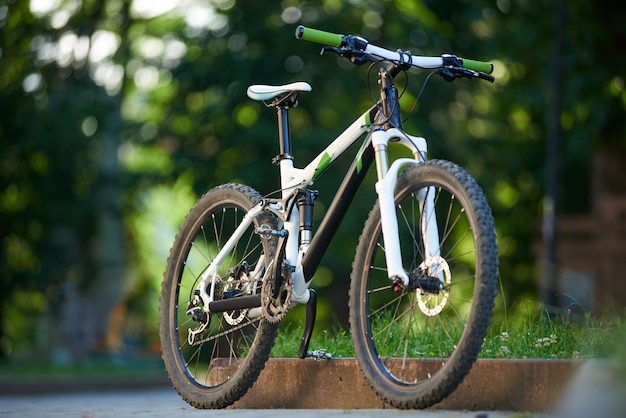 Mountain bike parked near paved roadside