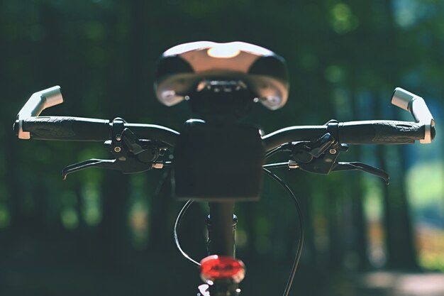 Mountain bike in the woods. Sport in nature.