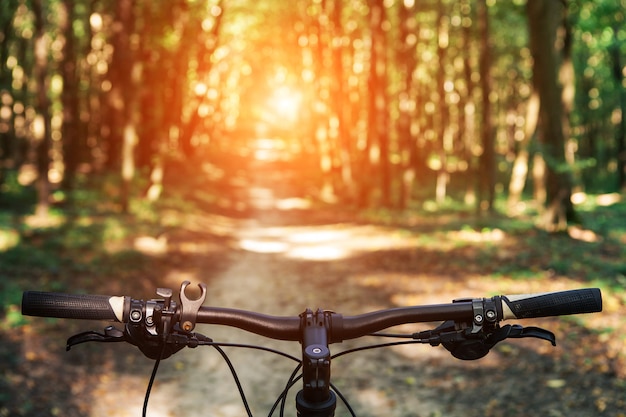 Mountain biking down hill descending fast on bicycle. View from bikers eyes.