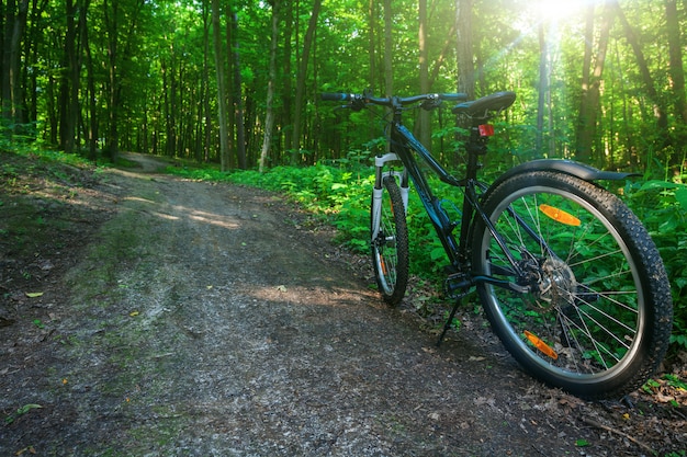 マウンテンバイクで丘を下って自転車で急降下します。バイカーの目からの眺め。