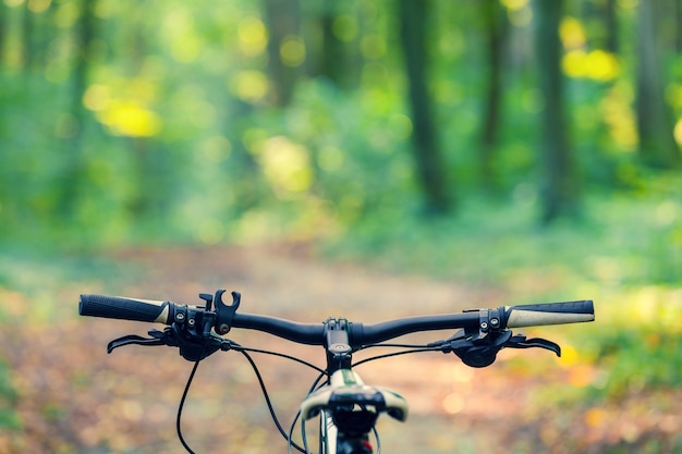 Mountain biking down hill descending fast on bicycle.