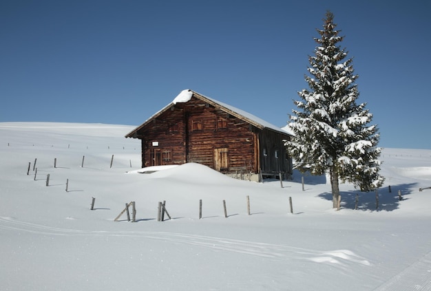 雪に覆われた風景の山の小屋