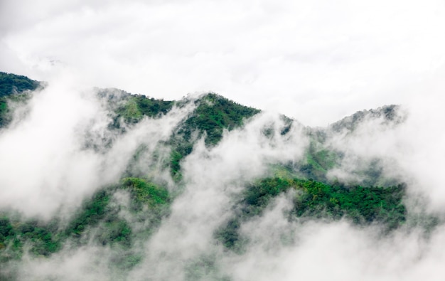 雲と霧の中の山