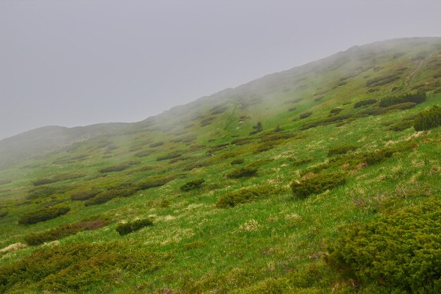 The mountain in the cloud and fog