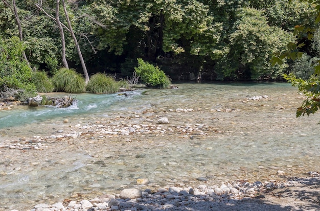 ギリシャのイピロスの晴れた夏の日の地域で、森の真ん中に山のように冷たい速いアケロン川が流れています