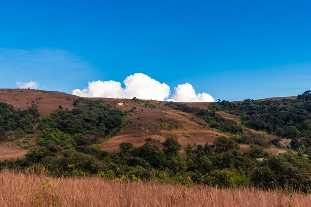 Mountain covered with grass landscape with bright blue sky at morning from flat angle