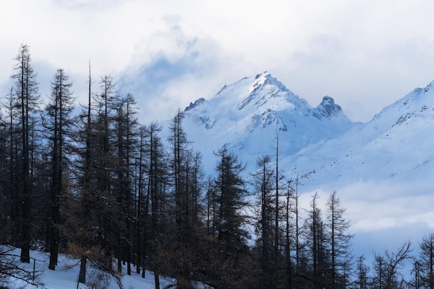 이탈리아 유럽 눈 덮인 산의 눈과 안개 고산 풍경으로 덮인 산