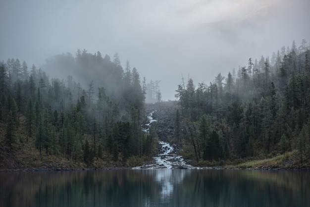 写真 山の小川は森の丘から謎の霧の中の氷河湖に流れ小さな川と木は早朝静かなアルプス湖に映し出されます山の湖と静かな霧の風景