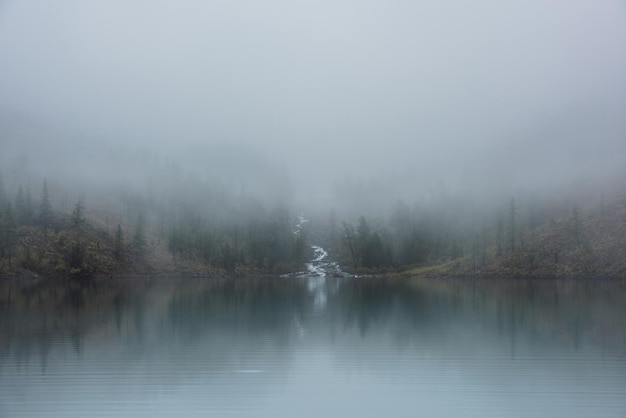 Photo mountain creek flows from forest hills into glacial lake in mysterious fog small river and coniferous trees reflected in calm alpine lake in misty morning tranquil landscape in fading autumn colors