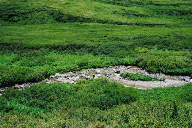 Mountain creek in green valley among rich vegetation of highland in sunny day.