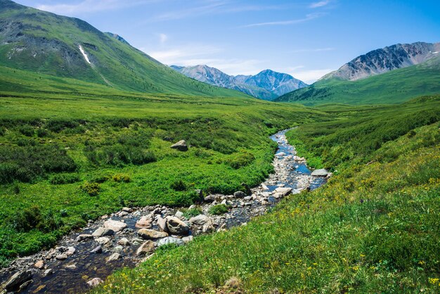 Mountain creek in green valley among rich vegetation of highland in sunny day