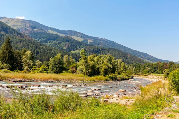 Photo mountain creek in a typical trentino valley