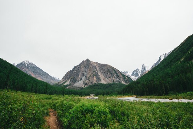 Mountain creek in valley against giant mountains and snowy tops. Water stream in brook against glacier. Rich vegetation and forest of highlands.