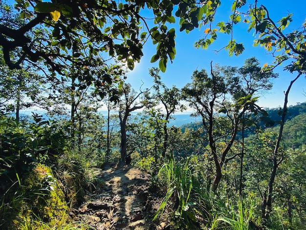 Mountain of Doi Chik Chong