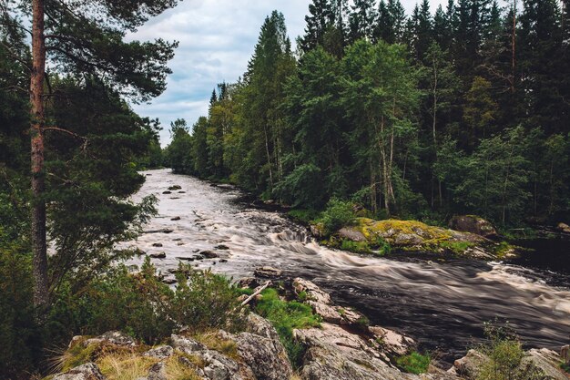 Горный быстрый речной поток воды в скалах с зеленым лесом в Финляндии