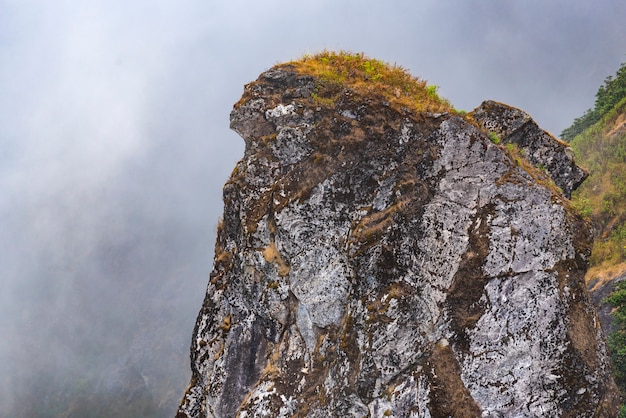 mountain field