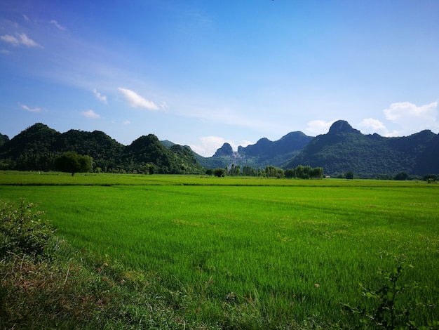 Mountain In the fields