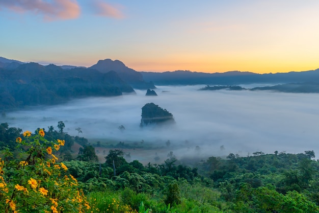 Mountain and flower views of Phu Langka National Park,  Thailand