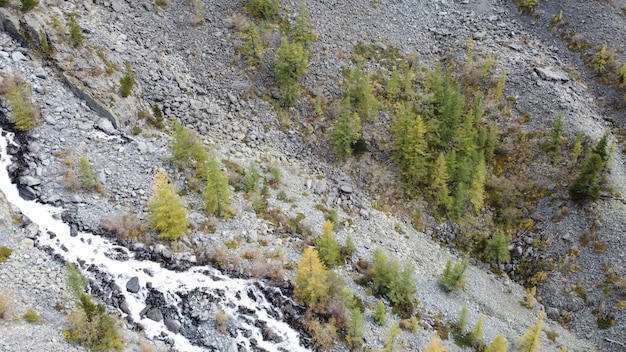 산이 흐르는 개울과 숲의 폭포 그림 같은 공중 무인 항공기 풍경 보기 알타이 산맥 러시아