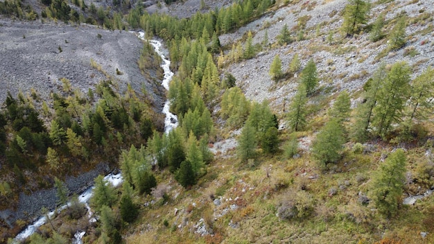 Foto ruscello di montagna e cascata nella foresta vista panoramica del paesaggio pittoresco dei droni aerei sulle montagne di altai