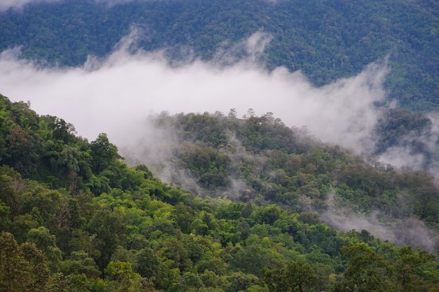 mountain and fog landscape with blue sky of high view